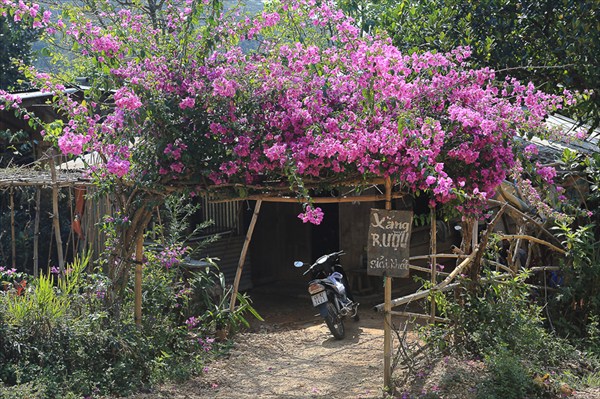 Пригород Далата (8), Вьетнам